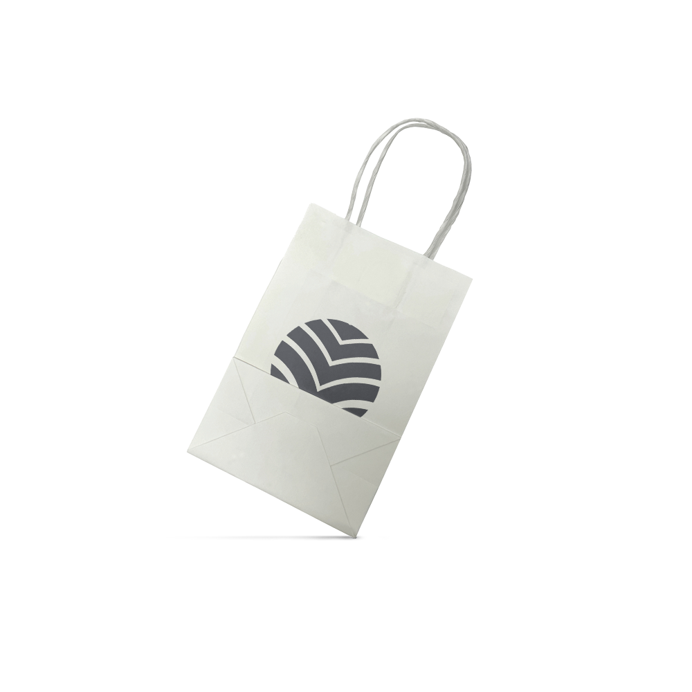 White Paper Shopping Bags - Petite Size 250pcs per Box - 8"W x 4"D x 10"H