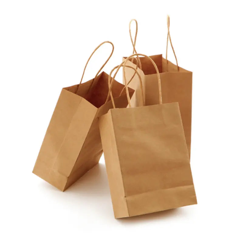 Eco Kraft Paper Bag ( Plain )