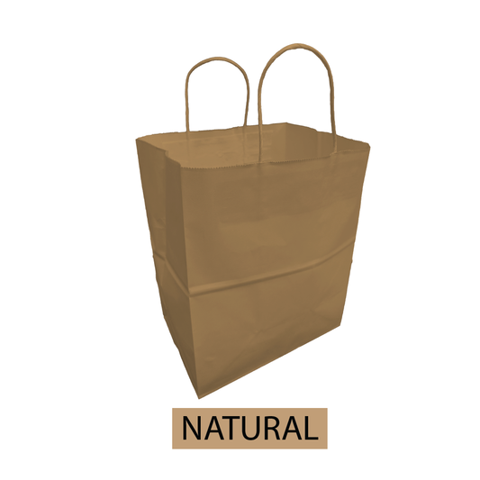 Paper Shopping Bags (Blank) Bulk 250pcs per Box - 10"W x6.75"D x 12"H