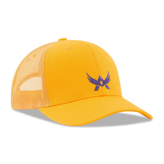 Front view of deluxe 6-panel cotton twill cap with mesh back and custom embroidered logo, clean minimalist background
