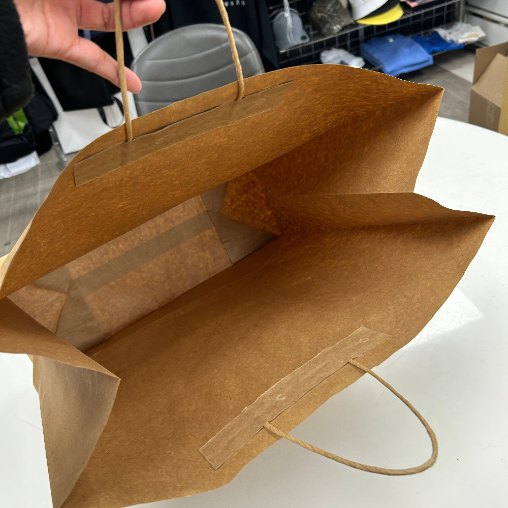 Brown paper bag held by a hand with a blurred background